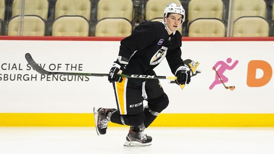 Maniscalco makes strides after unique rookie season taken in Cranberry, Pa. (Penguins)